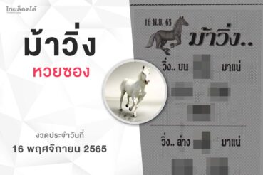 หวยม้าวิ่ง-161165