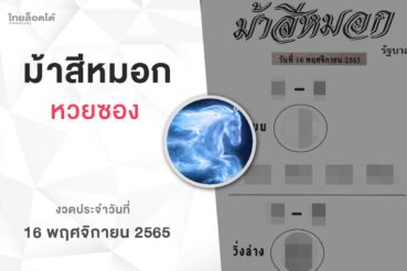หวยม้าสีหมอก-161165