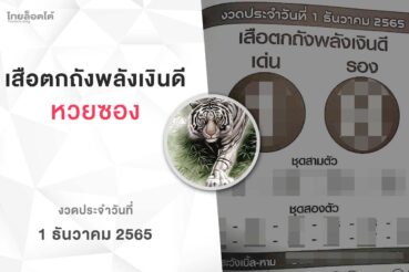 หวยเสือตกถังพลังเงินดี-011265