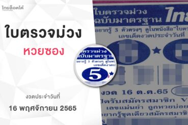 หวยใบตรวจม่วง-161165