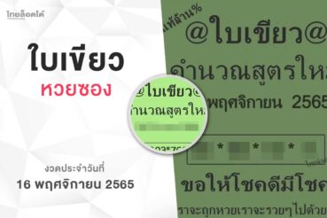 หวยใบเขียว-161165