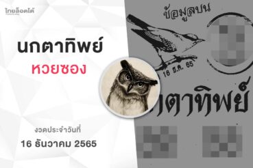 หวยนกตาทิพย์-161265