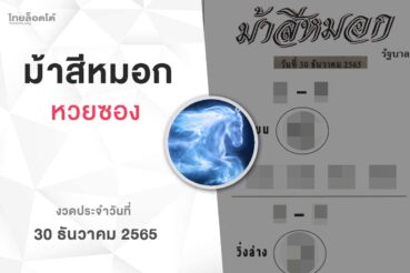 หวยม้าสีหมอก-301265