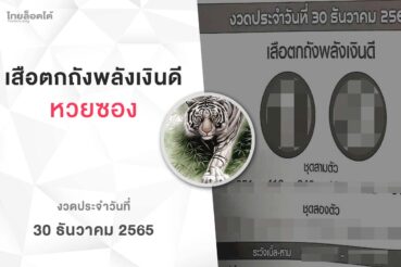 หวยเสือตกถังพลังเงินดี-301265