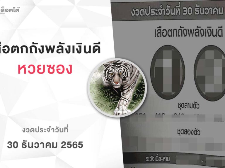 หวยเสือตกถังพลังเงินดี-301265