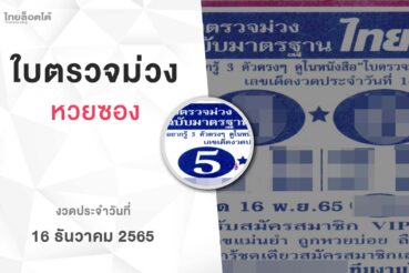 หวยใบตรวจม่วง-161265