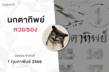 หวยนกตาทิพย์-010266