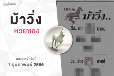 หวยม้าวิ่ง-010266