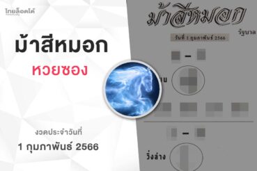 หวยม้าสีหมอก-010266