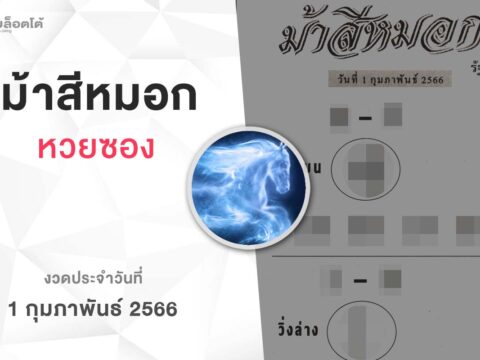 หวยม้าสีหมอก-010266