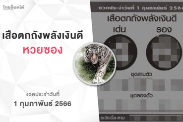หวยเสือตกถังพลังเงินดี-010266