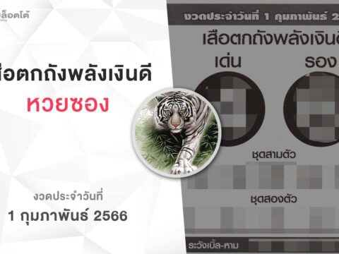 หวยเสือตกถังพลังเงินดี-010266