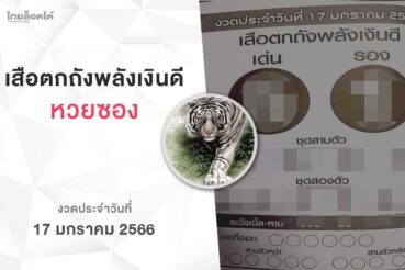 หวยเสือตกถังพลังเงินดี-170166