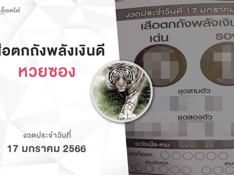 หวยเสือตกถังพลังเงินดี-170166