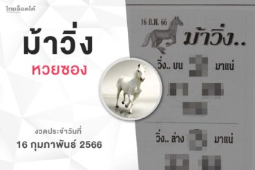หวยม้าวิ่ง-160266