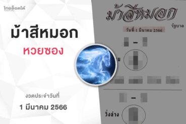 หวยม้าสีหมอก-010366