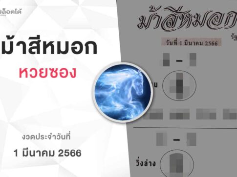 หวยม้าสีหมอก-010366