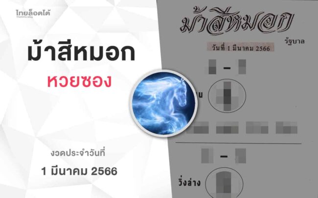 หวยม้าสีหมอก-010366
