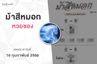 หวยม้าสีหมอก-160266