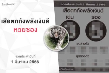 หวยเสือตกถังพลังเงินดี-010366