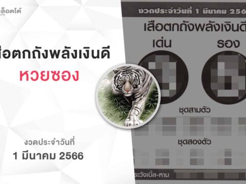 หวยเสือตกถังพลังเงินดี-010366