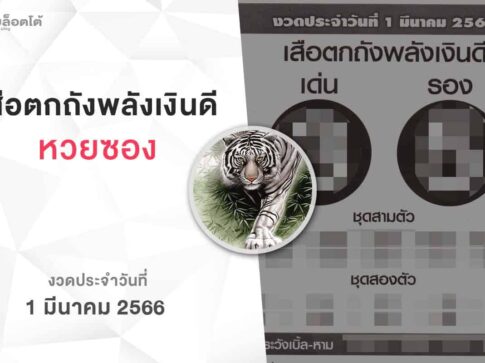 หวยเสือตกถังพลังเงินดี-010366