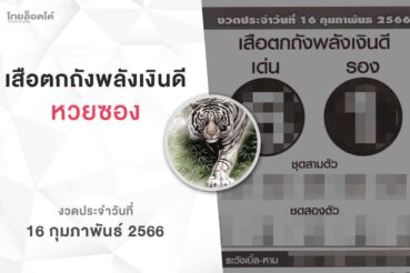หวยเสือตกถังพลังเงินดี-160266