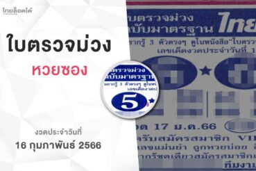 หวยใบตรวจม่วง-160266