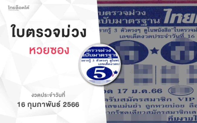 หวยใบตรวจม่วง-160266
