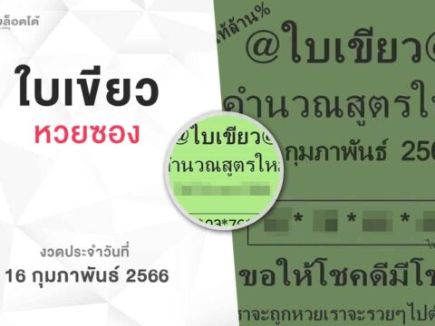หวยใบเขียว-160266